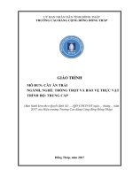 Giáo trình Cây ăn trái (Nghề: Trồng trọt và bảo vệ thực vật - Trung cấp) - Trường Cao đẳng Cộng động Đồng Tháp