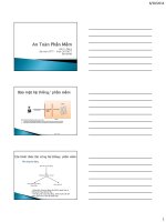 An toàn phần mềm 