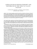 1995b lower devonian biostratigraphy and vertebrates of tong vai valley 