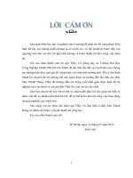 Một số giải pháp nhằm đẩy mạnh nghiệp vụ giao nhận vận chuyển hàng hoá xuất nhập khẩu bằng đừòng hàng không ở công ty trung nam 