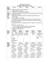 T9  NGÔI NHÀ của bé và bù t1 TRƯỜNG MN 