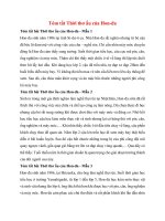 4 mau tom tat thoi tho au cua hon da tien 2022 hay ngan gon 