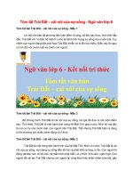 7 mau tom tat trai dat cai noi cua su song 2022 hay ngan gon 