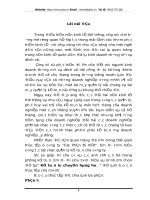 Kế toán lưu chuyển hàng hoá tại công ty CP bi việt 