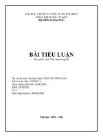 TIỂU LUẬN học phần anh văn chuyên ngành introduce the pharmacology  your paper should clearly present the following information differences between pharmacology and pharmacy 