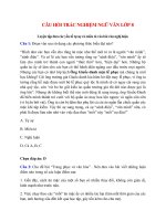 12 cau trac nghiem luyen tap dua cac yeu to tu su va mieu ta vao bai van nghi luan co dap an ngu van 8 