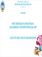 Phát triển dịch vụ phi tín dụng tại agribank chi nhánh lạng sơn 