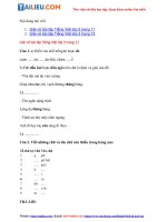 Tải Giải VBT Tiếng Việt 3 Chính tả - Tuần 3 trang 11, 13 Tập 1