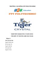 NHẬP môn MARKETING và bán HÀNG tìm HIỂU về THƯƠNG HIỆU BIA TIGER 