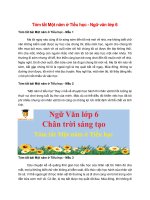 6 mau tom tat mot nam o tieu hoc 2022 hay ngan gon 