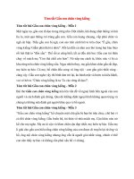 4 mau tom tat gau con chan vong kieng 2022 hay ngan gon 