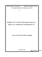 Nghiên cứu cải tiến tính chịu ngập của giống lúa AS996 bằng chỉ thị phân tử 