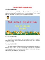 4 mau tom tat trai dat 2022 hay ngan gon 