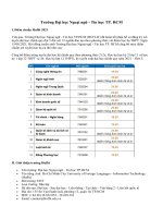 Trường Đại học Ngoại ngữ - Tin học TP. HCM Điểm chuẩn Huflit 2021