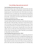 4 mau tom tat dong thap muoi mua nuoc noi 2022 hay ngan gon 