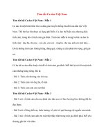 4 mau tom tat ca dao viet nam tien 2022 hay ngan gon 