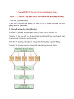 cong nghe 7 bai 11 ly thuyet va trac nghiem san xuat vao bao quan giong cay trong 