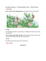 cay xau ho trang 3132 tieng viet lop 2 tap 1 ket noi tri thuc jm3g9 