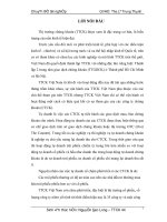 Luận văn phát triển hoạt động tự doanh chứng khoán tại công ty chứng khoán agri 