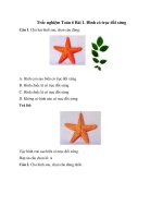 6 cau trac nghiem hinh co truc doi xung chan troi sang tao co dap an toan 6 