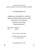 Nghiên cứu ảnh hưởng của một số nhân tố sinh thái đến chất lượng hạt giống cây cẩm liên (pentacme stamensis miq) trong bảo quản 