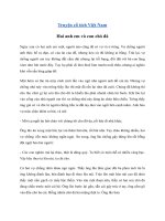 Truyện Hai anh em và con chó đá (Có file MP3) Đọc truyện cổ tích Việt Nam