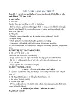 Lop 7 HDTN tuan 7   chi tiết