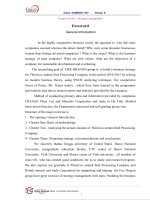 Luận văn thạc sĩ quản trị kinh doanh quốc tế MBA  (130) 