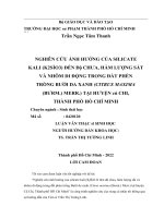 Nghiên cứu ảnh hưởng của silicate kali (k2sio3) đến độ chua, hàm lượng sắt và nhôm di động trong đất phèn trồng bưởi da xanh (citrus maxima (burm ) merr ) tại huyện củ chi, thành phố hồ chí minh 