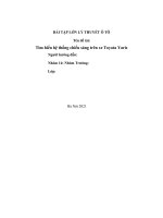 bài tập lớn: Tìm hiểu hệ thống chiếu sáng trên xe Toyota Yaris(Có bản vẽ đi kèm)