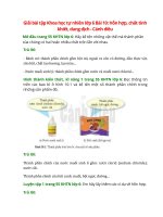 giai sgk khoa hoc tu nhien 6 bai 10 canh dieu hon hop chat tinh khiet dung dich 