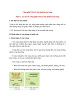 cong nghe 7 bai 12 ly thuyet va trac nghiem sau benh hai cay trong 