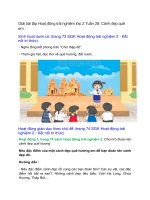 giai sgk hoat dong trai nghiem lop 2 trang 73 74 tuan 28 canh dep que em ket noi tri thuc 