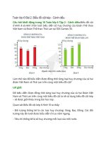 giai sgk toan 6 bai 2 canh dieu bieu do cot kep 