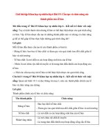 giai sgk khoa hoc tu nhien 6 bai 19 ket noi tri thuc cau tao va chuc nang cac thanh phan cua te bao 