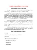 top 8 bai ta chiec dong ho deo tay cua em 2022 hay nhat 