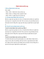 bo cuc bai hanh trinh cua bay ong chuan nhat 