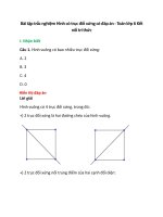 14 cau trac nghiem hinh co truc doi xung ket noi tri thuc co dap an toan 6 