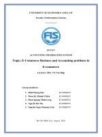 Tiểu luận Report Accounting information system ECommerce business and accounting problems in Ecommerce