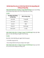 giai sgk khoa hoc tu nhien 6 bai 22 canh dieu da dang dong vat khong xuong song 