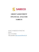 GROUP ASSIGNMENT FINANCIAL ANALYSIS SABECO 