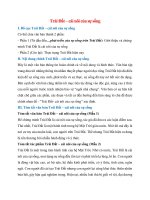 bo cuc bai trai dat cai noi cua su song chuan nhat