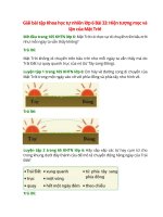 giai sgk khoa hoc tu nhien 6 bai 33 canh dieu hien tuong moc va lan cua mat troi 