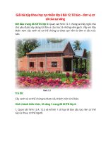 giai sgk khoa hoc tu nhien 6 bai 12 canh dieu te bao don vi co so cua su song 