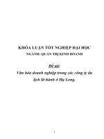 NGÀNH QUẢN TRỊ KINH DOANH đề tài văn hóa doanh nghiệp trong các công ty du lịch lữ hành ở hạ long  