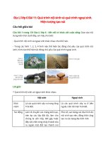 giai sgk dia li 6 bai 11 ket noi tri thuc qua trinh noi sinh va qua trinh ngoai sinh hien tuong tao nui 