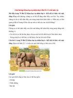 giai sgk khoa hoc tu nhien 6 bai 22 ket noi tri thuc co the sinh vat 