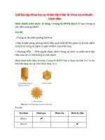 giai sgk khoa hoc tu nhien 6 bai 16 canh dieu virus va vi khuan 