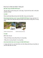 Giải bài tập Khoa học tự nhiên lớp 6 Bài 31: Động vật