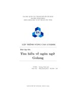 LẬP TRÌNH NÂNG CAO (CO2039) bài tập lớn tìm hiểu về ngôn ngữ golang 